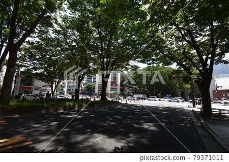 宮城縣仙台市定善寺通媒體中心周邊的風景 79371011