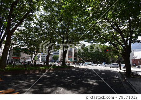 宮城縣仙台市定善寺通媒體中心周邊的風景 79371012