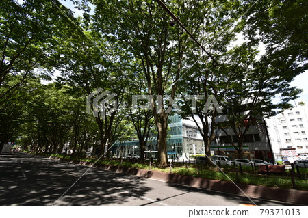 宮城縣仙台市定善寺通媒體中心周邊的風景 79371013