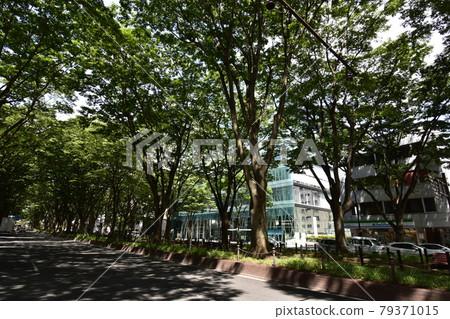 宮城縣仙台市定善寺通媒體中心周邊的風景 79371015