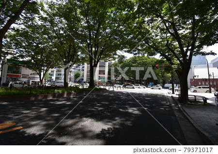 宮城縣仙台市定善寺通媒體中心周邊的風景 79371017