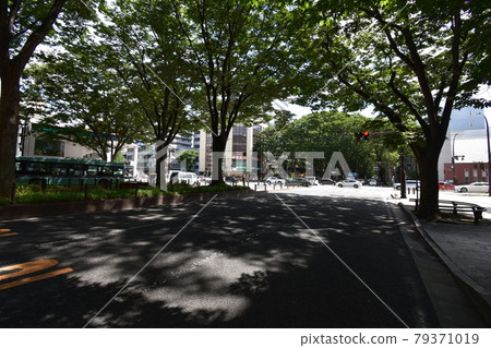 宮城縣仙台市定善寺通媒體中心周邊的風景 79371019