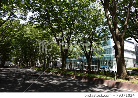 宮城縣仙台市定善寺通媒體中心周邊的風景 79371024