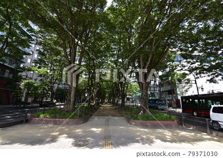 宮城縣仙台市定善寺通媒體中心周邊的風景 79371030