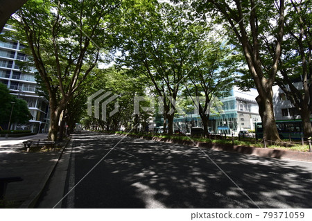 宮城縣仙台市定善寺通媒體中心周邊的風景 79371059