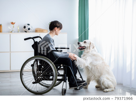 Positive handicapped teenager playing with his dog, holding its paw at home, full length 79371966