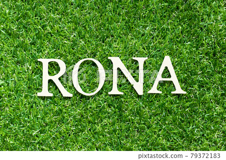 Alphabet letter in word RONA (Abbreviation of Return on net assets) on green grass background Alphabet letter in word RONA (Abbreviation of Return on net assets) on green grass background 79372183