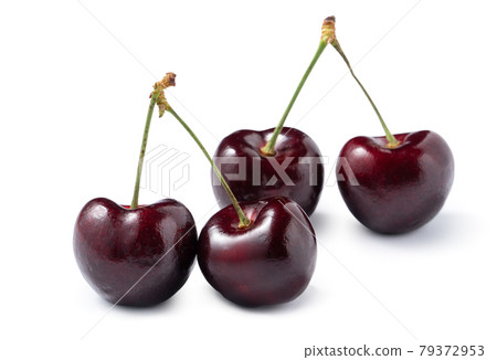 mango fruit go back summer tropical Fresh Mango isolated マンゴ cut り抜き 79372953