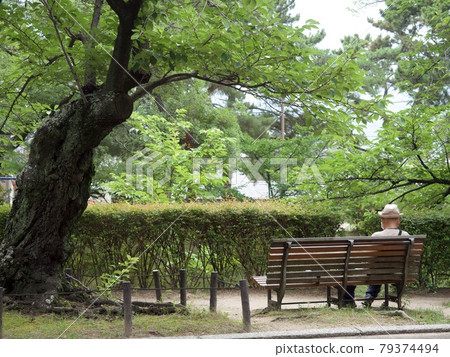 Men sitting on the bench Men sitting on the bench 79374494