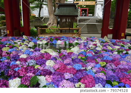 Dazaifu Tenmangu Shrine Hanatemizu 79374528