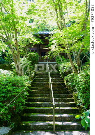 Katsujiji Fudodo(京都市) Katsujiji Fudodo(京都市) 79374858