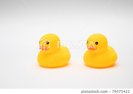 Yellow Rubber Ducks on white background 79375422