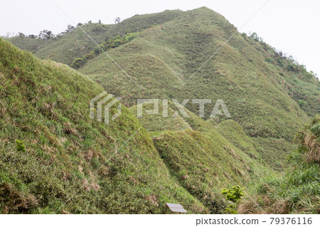 抹茶山 抹茶山 79376116