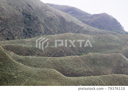 抹茶山 抹茶山 79376118