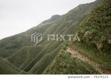 抹茶山 抹茶山 79376123