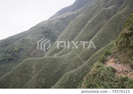 抹茶山 79376125