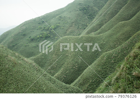 抹茶山 抹茶山 79376126