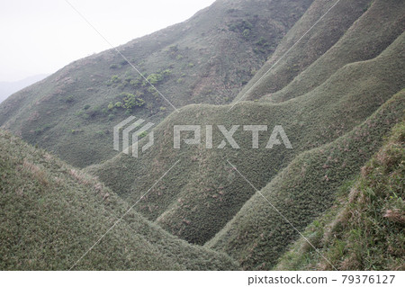 抹茶山 抹茶山 79376127