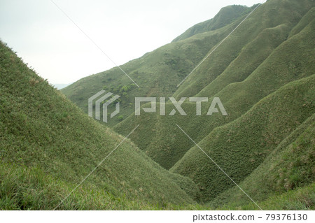 matcha mountain matcha mountain 79376130