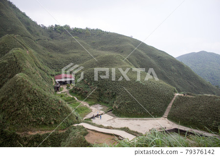 matcha mountain 79376142