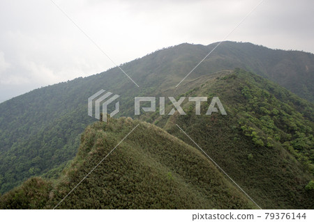 抹茶山 抹茶山 79376144