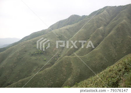 抹茶山 抹茶山 79376147