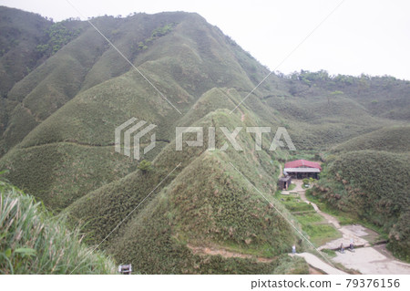 抹茶山 抹茶山 79376156