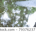 Puddle of rainy season 79376237