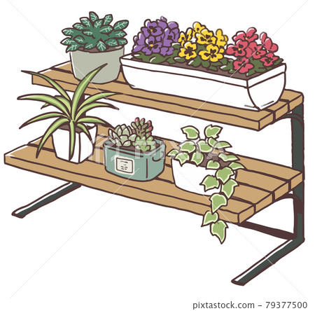 花園架和植物 花園架和植物 79377500