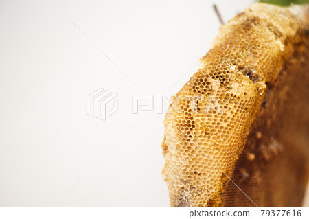 Closeup texture of beehive isolated on the white background 79377616