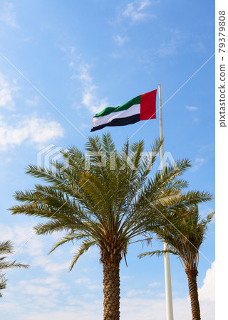 The flag of United Arab Emirates is near Etihad museum and palm tree 79379808