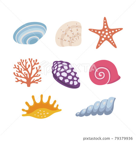 Colorful tropical shells underwater icon set. Vector illustration. Colorful tropical shells underwater icon set. Vector illustration. 79379936