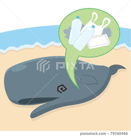 Whale that died after eating plastic 79380466