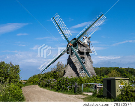 Old mill Charlotte in Nieby, Geltinger Birk, Schleswig-Holstein,Germany 79380574