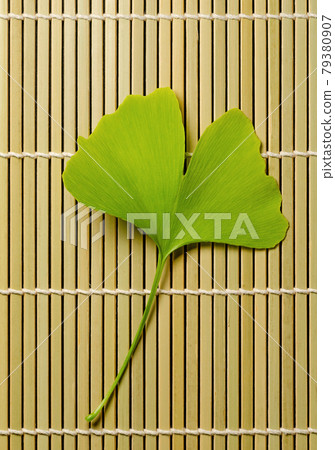 Single ginkgo leaf on a bamboo mat. Ginkgo biloba, also known as gingko or maidenhair tree, official tree of the Japanese capital Tokyo, and as a leaf the symbol of Tokyo. Close-up, from above. Photo. Single ginkgo leaf on a bamboo mat. Ginkgo biloba, also known as gingko or maidenhair tree, official tree of the Japanese capital Tokyo, and as a leaf the symbol of Tokyo. Close-up, from above. Photo. 79380907