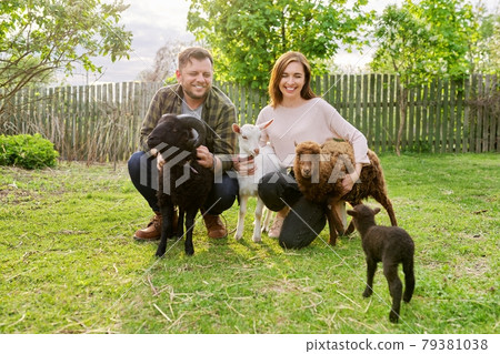 Small farm with ouessant sheep and goat, portrait of family couple of farm owners 79381038