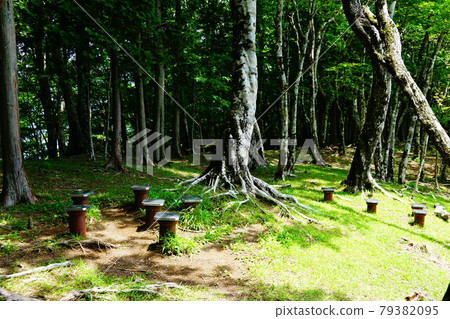 Nishitanzawa, Mt. Gongen, Mt. 79382095