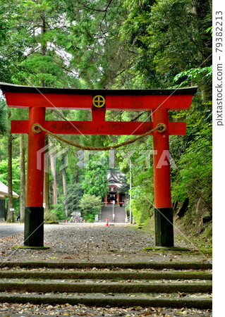 Beautiful torii gate "vertical composition" at Hanao Shrine 79382213