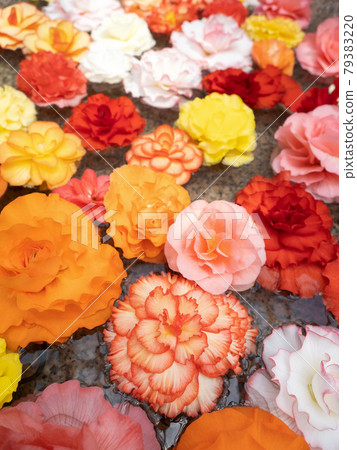 漂浮在水面上的海棠花 漂浮在水面上的海棠花 79383220