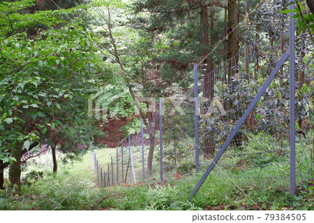 Electric fence installed on the mountain 79384505