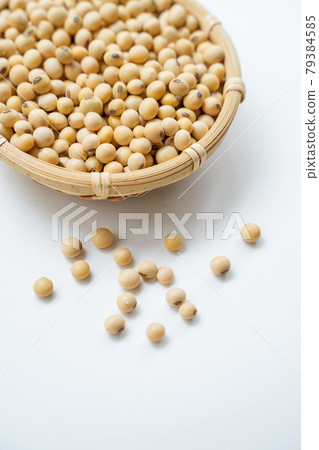 大豆的形象 79384585