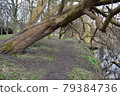 Beautiful landscape of the Kirkstall Abbey ruins, Leeds, England; taken in a rainy day of 2 April 2018 79384736