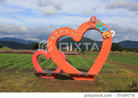 國立公園、慶州市、瞻星台、向日葵、王陵 國立公園、慶州市、瞻星台、向日葵、王陵 79384779