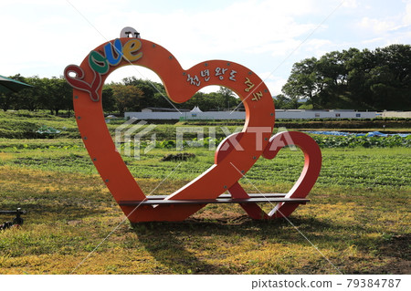 國立公園、慶州市、瞻星台、向日葵、王陵 國立公園、慶州市、瞻星台、向日葵、王陵 79384787