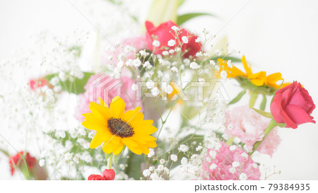 Flower arrangement white background 79384935