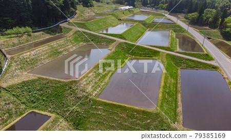 Rice terraces 79385169