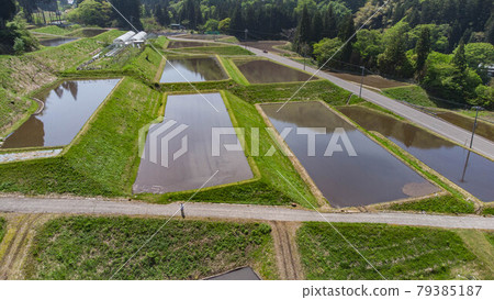 Rice terraces 79385187