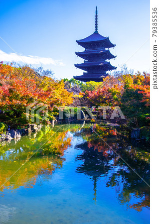 Toji寺和五顏六色的葉子的五層塔 Toji寺和五顏六色的葉子的五層塔 79385536