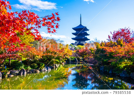 Toji寺和五顏六色的葉子的五層塔 79385538
