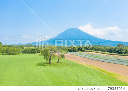 Drone aerial view Twin cherry trees Sightseeing image of Hokkaido Niseko area 79385934